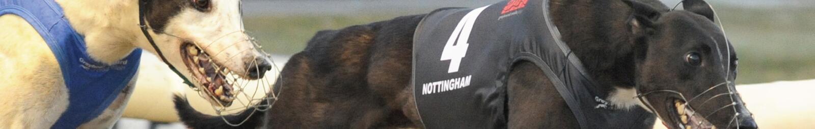 Sponsorship Advertising Racing