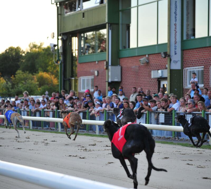 The crowd watching the greyhounds race by at Nottingham Greyhounds