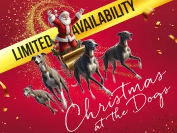 christmas at nottingham greyhound stadium