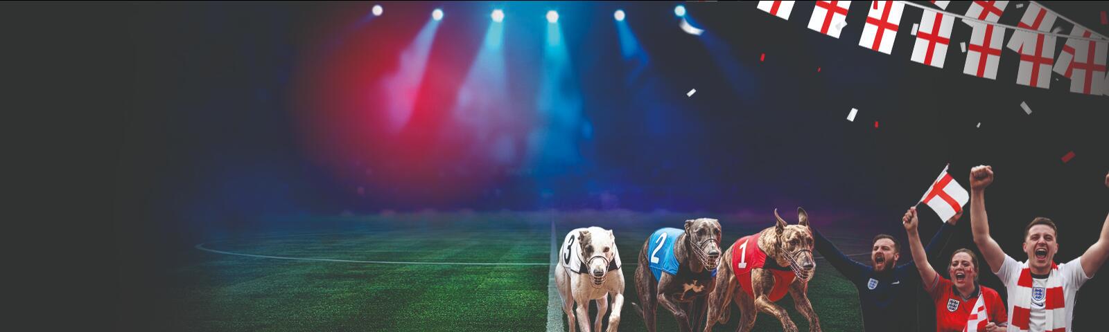 pitch pints and paws