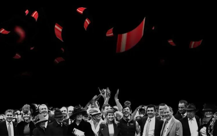 Black Friday Campaign Artwork